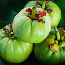 Garcinia Cambogia : Que faut-il savoir aujourd’hui ? L’avis expert de Sohna