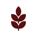 <p>SANS GLUTEN</p>